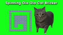 Spinning Uia Uia Cat Bricker